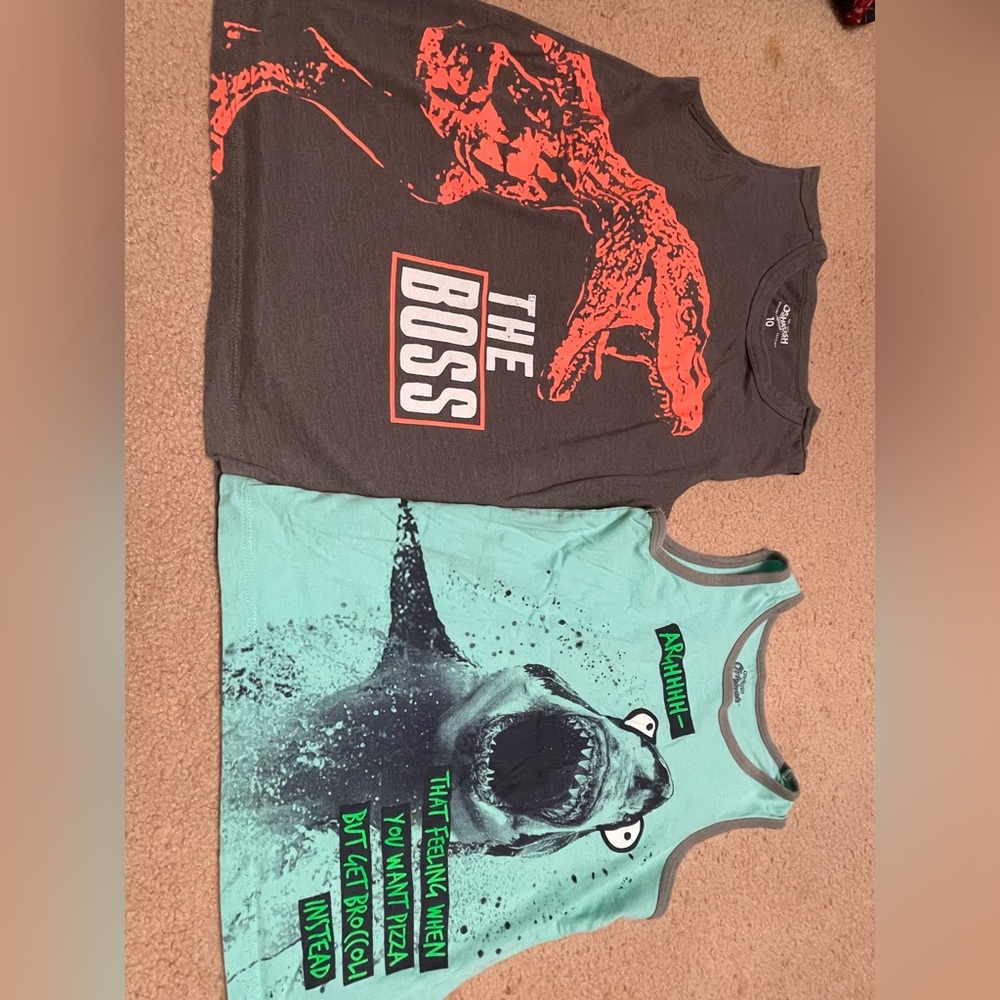 Two OshKosh B'gosh Gray and Teal Graphic Tank Tops(size: 10)